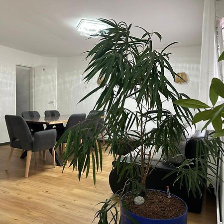 Pension&Haus Formidable Nidderau Extérieur photo